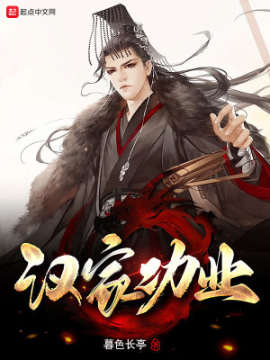 汉家功业 汉家功业