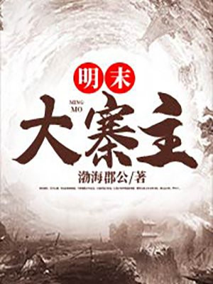 明末大寨主 明末大寨主
