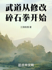武道：从修改碎石拳开始
