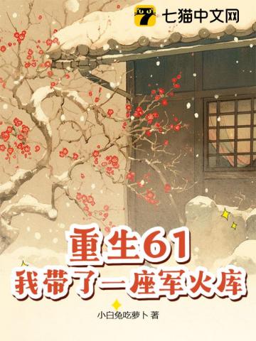 重生61,我带了一座军火库 重生61,我带了一座军火库